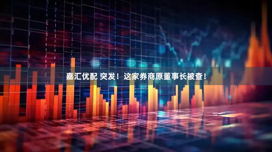 嘉汇优配 突发！这家券商原董事长被查！