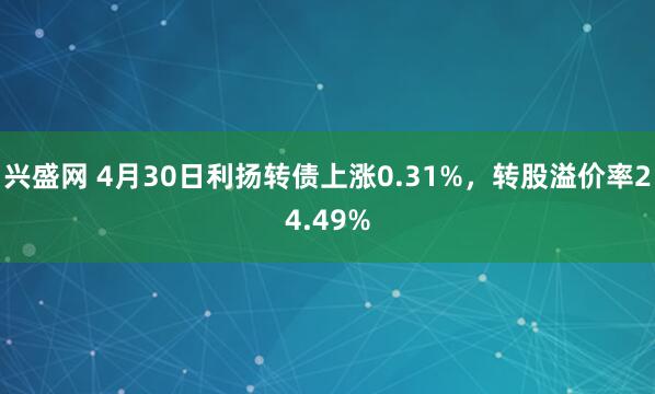 兴盛网 4月30日利扬转债上涨0.31%，转股溢价率24.49%