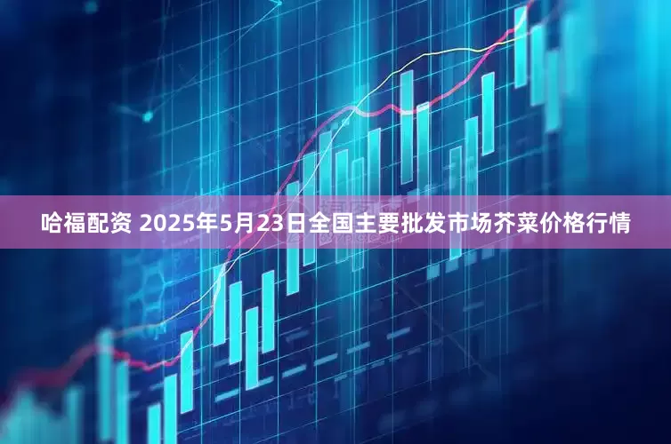 哈福配资 2025年5月23日全国主要批发市场芥菜价格行情