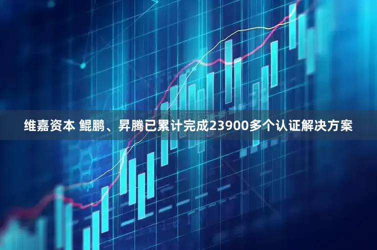 维嘉资本 鲲鹏、昇腾已累计完成23900多个认证解决方案