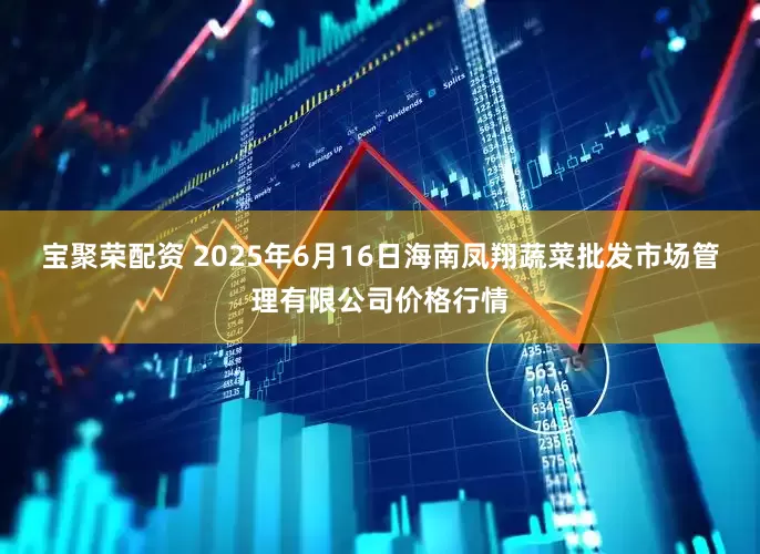 宝聚荣配资 2025年6月16日海南凤翔蔬菜批发市场管理有限公司价格行情