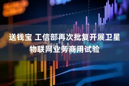 送钱宝 工信部再次批复开展卫星物联网业务商用试验