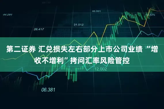 第二证券 汇兑损失左右部分上市公司业绩 “增收不增利”拷问汇率风险管控